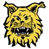 埃尔维斯B队
