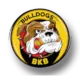 卡乔罗斯斗牛