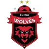 卧龙海岸狼队
